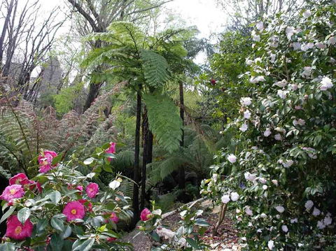 Adelaide Hills B&B Accommodation - Hotel Gold Coast 3