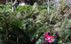 Adelaide Hills B&B Accommodation - thumb 6