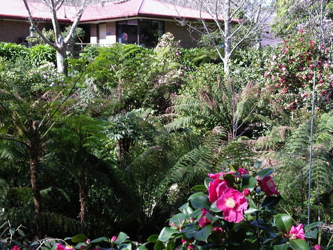 Adelaide Hills B&B Accommodation - Hotel Gold Coast 6