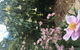 Adelaide Hills B&B Accommodation - thumb 7