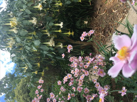 Adelaide Hills B&B Accommodation - Hotel Gold Coast 7