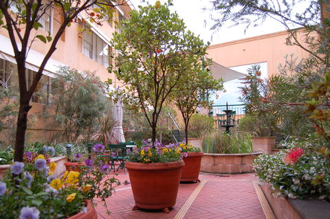Arts Hotel Sydney - Hotel Gold Coast 2