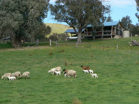 Gaddleen Grove Cottages - Hotel Gold Coast 0