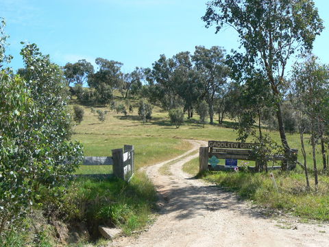 Gaddleen Grove Cottages - Hotel Gold Coast 3