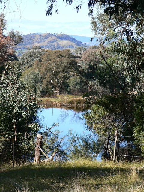 Gaddleen Grove Cottages - Hotel Gold Coast 6