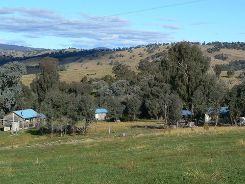 Gaddleen Grove Cottages - Hotel Gold Coast 7
