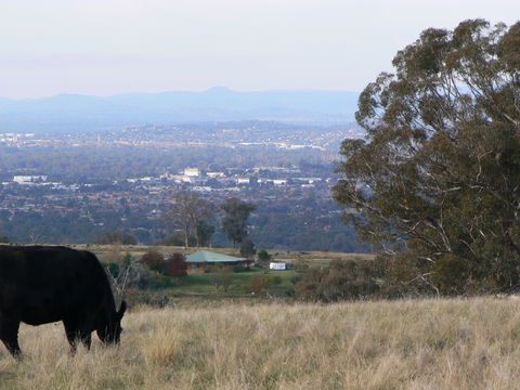 Gaddleen Grove Cottages - Hotel Gold Coast 8