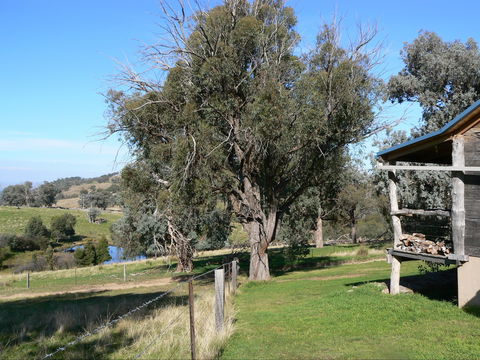 Gaddleen Grove Cottages - Hotel Gold Coast 9