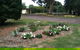 Getaway Tourist Park - thumb 6
