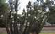 Getaway Tourist Park - thumb 7