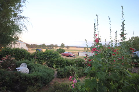 Rostrata Country House - Hotel Gold Coast 7