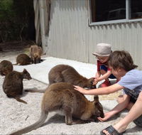 The Patriarch Wildlife Sanctuary Camping Ground - Hotel Gold Coast