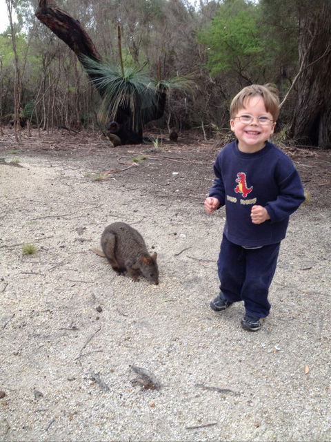 The Patriarch Wildlife Sanctuary Camping Ground - Hotel Gold Coast 1