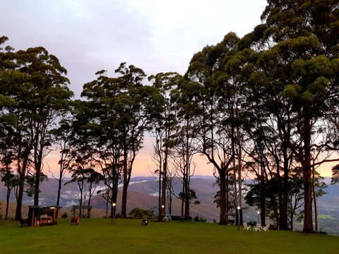 Aaronlee Retreat - Hotel Gold Coast 1