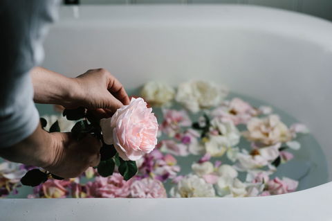 Acre Of Roses - Hotel Gold Coast 5