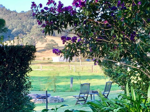 Arcadia Cottages At Cambewarra - Hotel Gold Coast 5