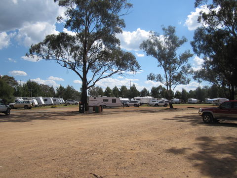Ariah Park Camping Ground - Hotel Gold Coast 4