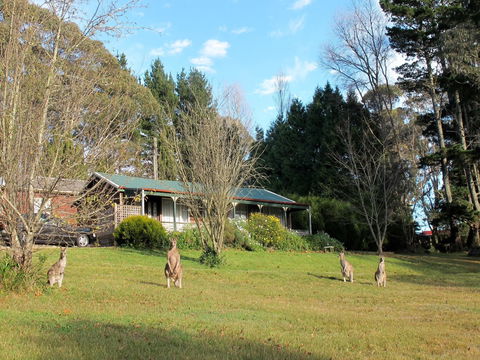 Cedar Lodge Cabins - Hotel Gold Coast 0