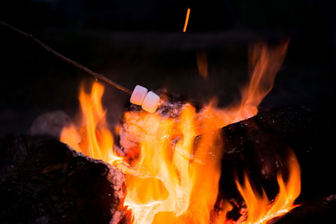 Glenworth Valley Outdoor Adventures Camping - Hotel Gold Coast 4