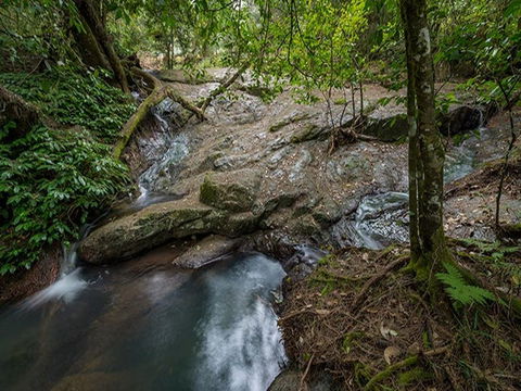 Jacky Barkers Campground - Hotel Gold Coast 3