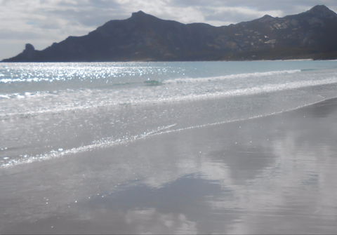 Nautilus - Hotel Gold Coast 9