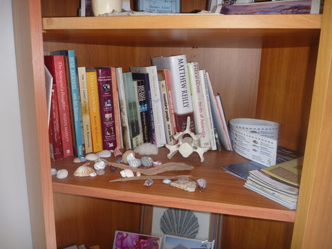 Yakkalla Holiday Cottage - Hotel Gold Coast 5