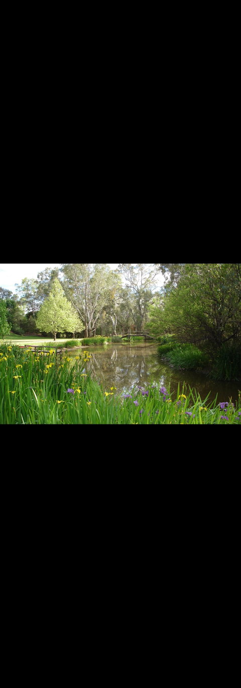 Murray Bank Holiday Units - Hotel Gold Coast 0