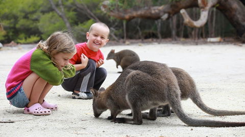 The Patriarch Wildlife Sanctuary Camping Ground - Hotel Gold Coast 0