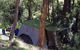 Abercrombie Caves Campground - thumb 0