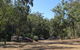 Abercrombie Caves Campground - thumb 2