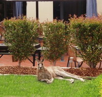 Alpha Canberra Hotel - Hotel Gold Coast