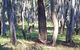 Apsley Falls Campground - thumb 2