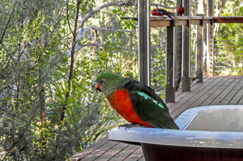 Araluen Park Cottages - Hotel Gold Coast 2