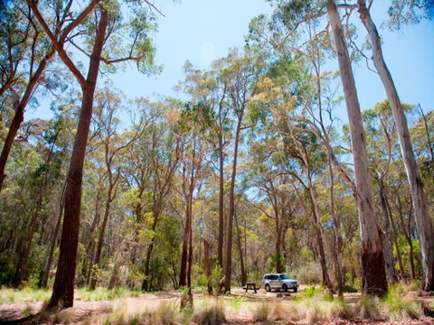 Coolah Tops National Park Camping - Hotel Gold Coast 0