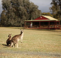 The Pokolbin Cabins - Hotel Gold Coast