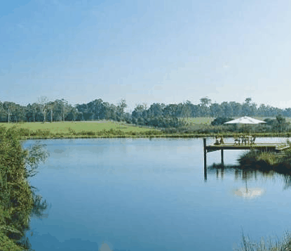Forest Rise Eco Retreat - Hotel Gold Coast