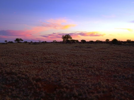 Wogarno Homestead - Hotel Gold Coast 0
