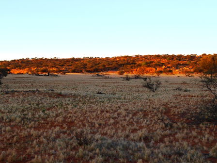 Wogarno Homestead - Hotel Gold Coast 5
