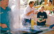 Arrawarra Beach Holiday Park - thumb 5
