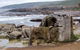 Clovelly Holiday Units - thumb 1