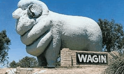 Wagin Motel - Hotel Gold Coast 0