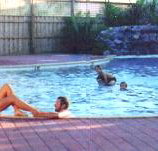 Shark Bay Caravan Park - Hotel Gold Coast