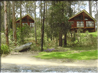 Bewong River Retreat - Hotel Gold Coast 4