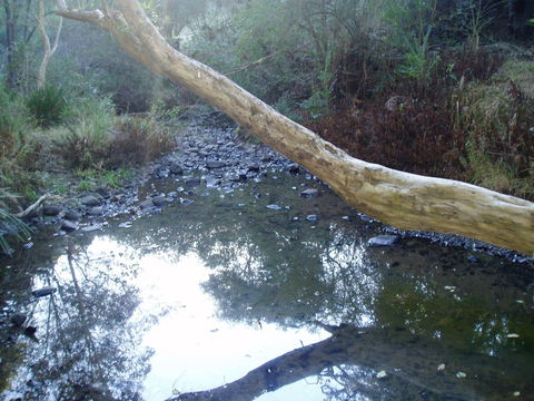 Barkeldine Farm Country Retreat - Hotel Gold Coast 1