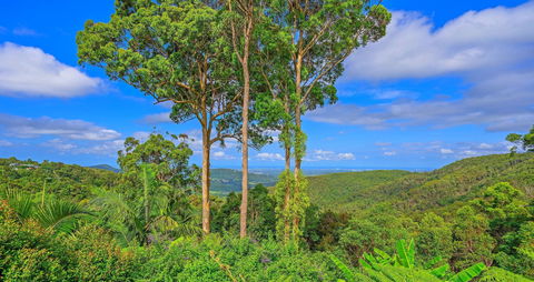 Cloud 9 Cliff Top Eagle Heights - Hotel Gold Coast 1
