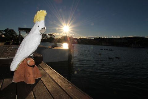Cockatoo House - Hotel Gold Coast 2