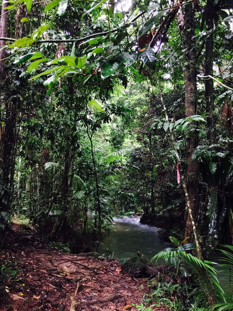 Daintree Wilderness Lodge - Hotel Gold Coast 2