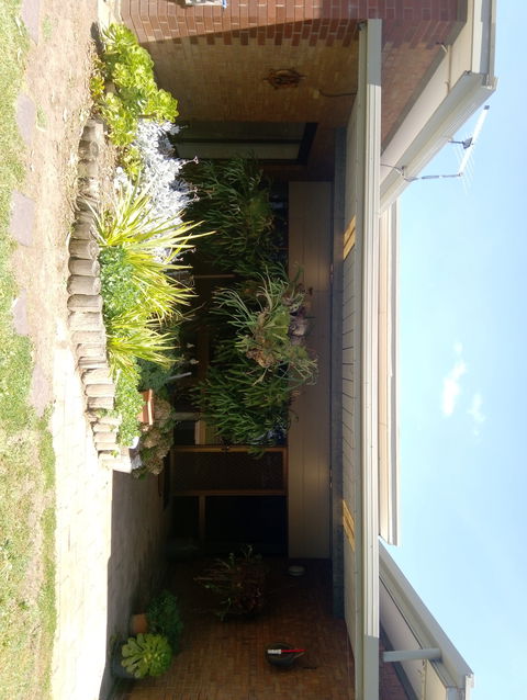 Hilltop Escape B&B - Hotel Gold Coast 0