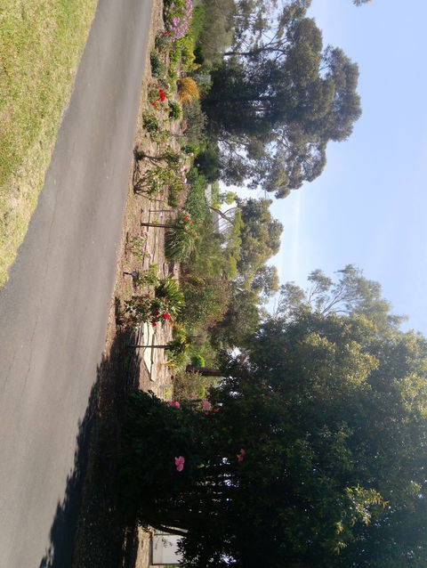 Hilltop Escape B&B - Hotel Gold Coast 1
