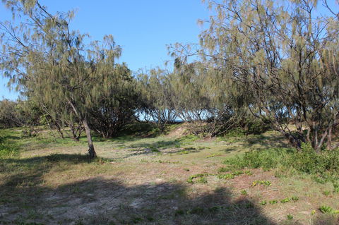 K'gari (Fraser Island) Camping, Great Sandy National Park - Hotel Gold Coast 1